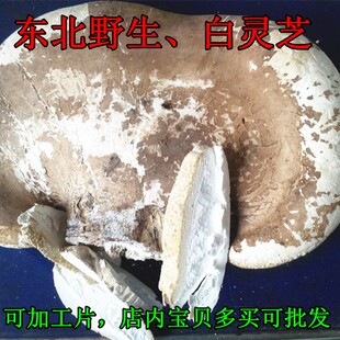 野生真菌白灵芝 白边 桦剥管菌 玉芝  长白山整树灵芝500克 包邮