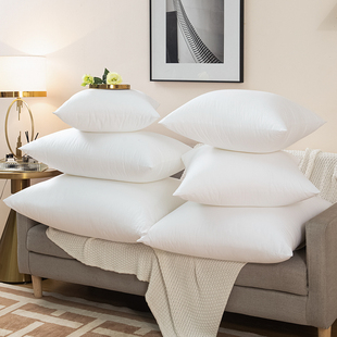 抱枕芯靠垫芯内胆芯45 50 55 60 65 70沙发靠枕方垫腰枕床头定制