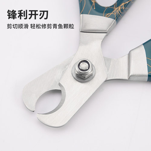 颗粒剪青鱼黑坑颗粒剪刀大物标坑快速修剪不锈钢专用钓鱼饵料剪刀