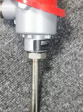 【议价】瑞士 RUEGER 温度传感器 PT100 杆长80mm
