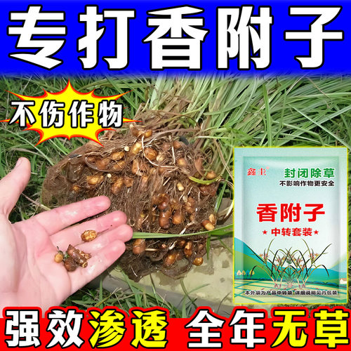 香附子专用除草烂根剂强效除草剂