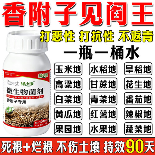 香附子专用烂锄草根助菜地荒地野外不伤作物香附子强效土壤调理剂