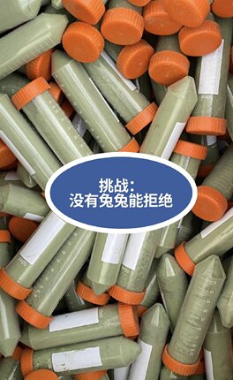 25年提摩西草粉冻干【速溶无渣】兔子荷兰猪豚鼠龙猫牧草兔粮用品