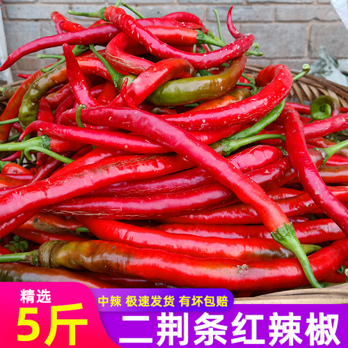 重庆特产乌红辣椒新鲜红辣椒农家自种线椒辣椒酱四川二荆条辣椒