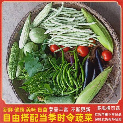 农家新鲜蔬菜黄瓜四季豆豇豆番茄玉米小南瓜番茄丝瓜辣椒组合蔬菜