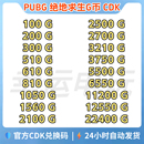 PUBGG币绝地求生G币金币CDK吃鸡g币游戏币点卷货币充值皮肤兑换码