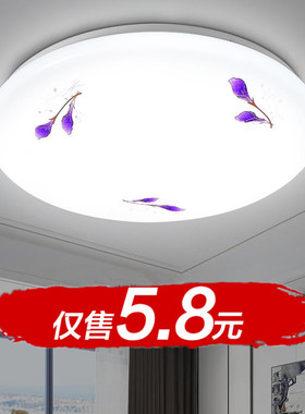 LED圆形吸顶灯 卧室灯客厅阳台灯厨卫过道灯现代简约走廊全白灯具