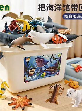 海洋动物认知画册鲨鱼玩具