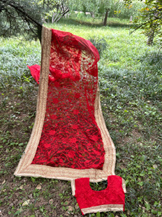 进口宝莱坞民族风刺绣纱丽小上衣衬裙新品现货印度舞演出摄影孤品