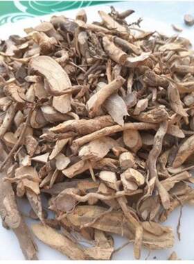 原料白马骨根 六月雪根 新鲜干货 纯净干净无杂志