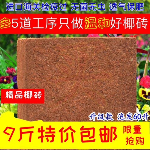 10斤进口大椰砖椰土耶种植种菜