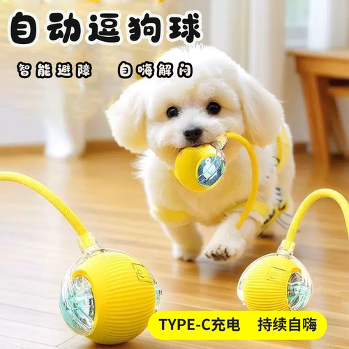 自动遛狗球解闷耐咬狗狗智能玩具