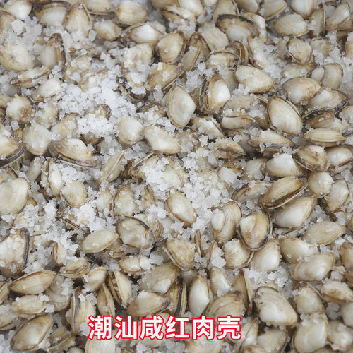 潮汕粗盐咸红肉壳新鲜海瓜子海鲜贝壳即食海品海鲜腌制杂咸非薄壳