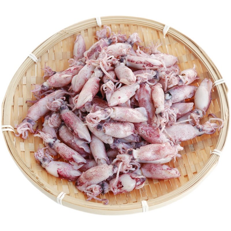 即食小鱿鱼熟鱼吹筒仔笔管鱼饭潮汕福建小海兔包邮