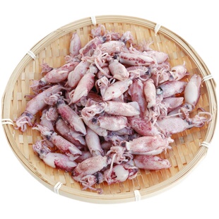 即食小鱿鱼熟鱼吹筒仔笔管鱼饭潮汕福建小海兔 包邮