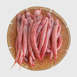 新鲜红血鱼冷冻海水鱼类食用补血赤岭鱼新鲜海捕海濑鱼水中人参鱼