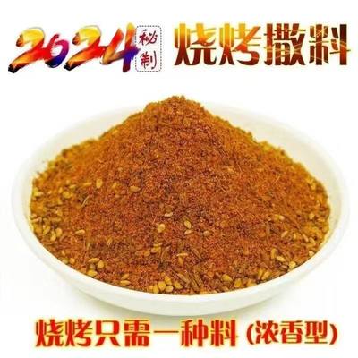 秘制烧烤调料腌肉500g廖豆