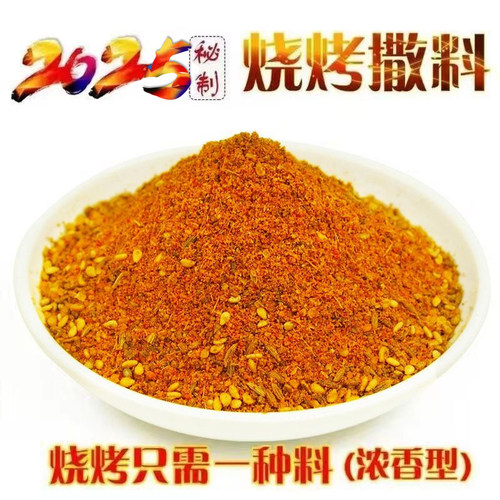 秘制烧烤调料腌肉500g廖豆