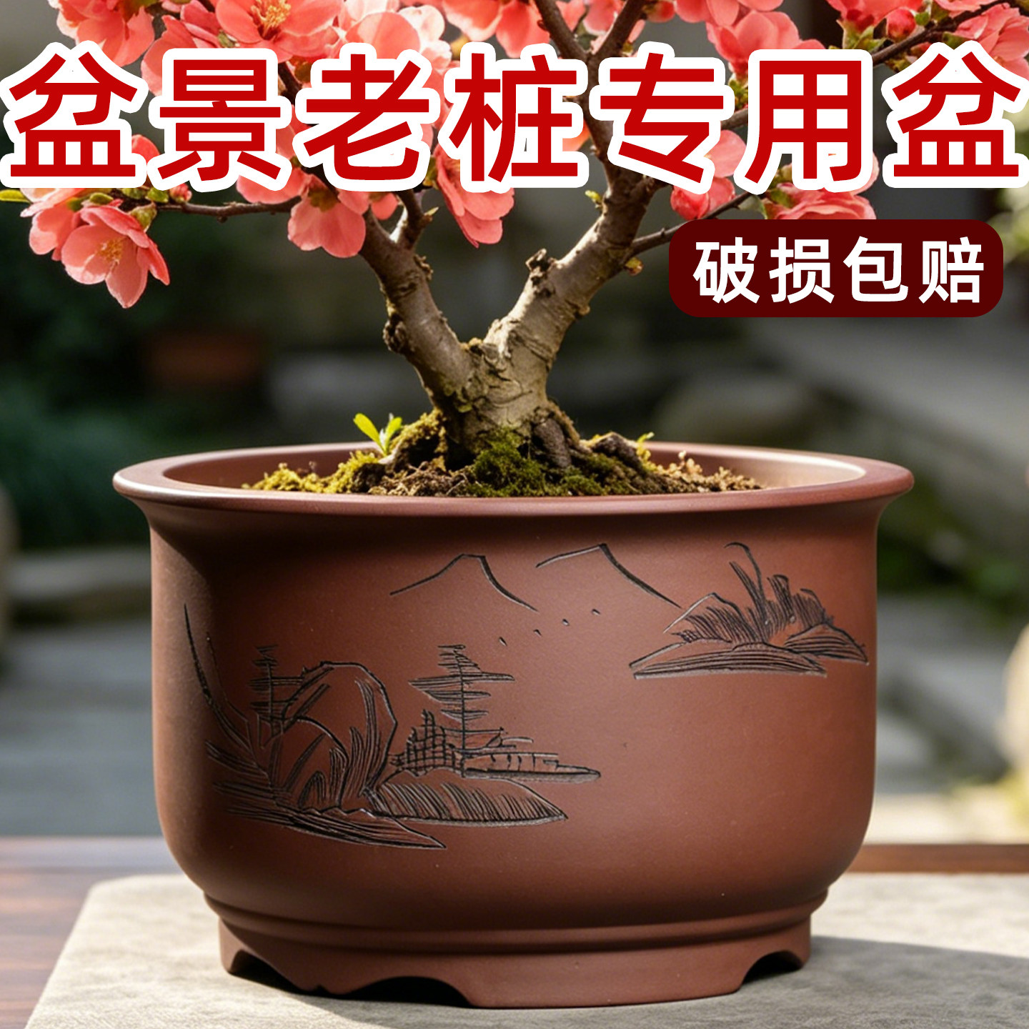 宜兴紫砂花盆大口径盆景花盆兰花海棠梅花金弹子老桩花盆陶瓷特价