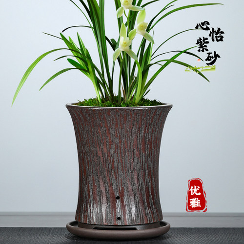 2023新款紫砂树纹兰花盆【热销】