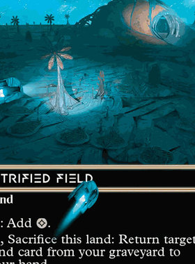 EOS 032/077/122/167 石化原野 Petrified Field 银河闪