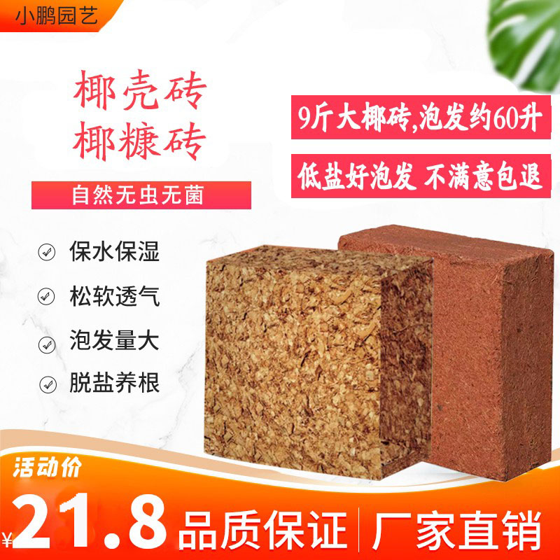 大椰砖易泡发进口脱盐包邮