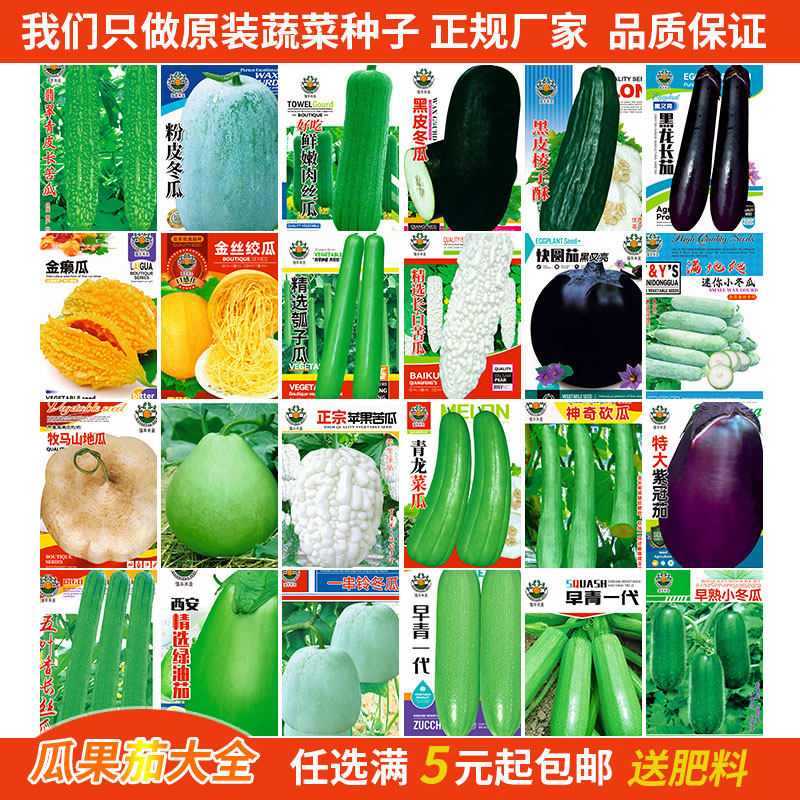丝瓜冬瓜苦瓜茄子种子酥瓜金丝绞瓜金癞瓜菜葫芦菜瓜砍瓜地瓜种籽