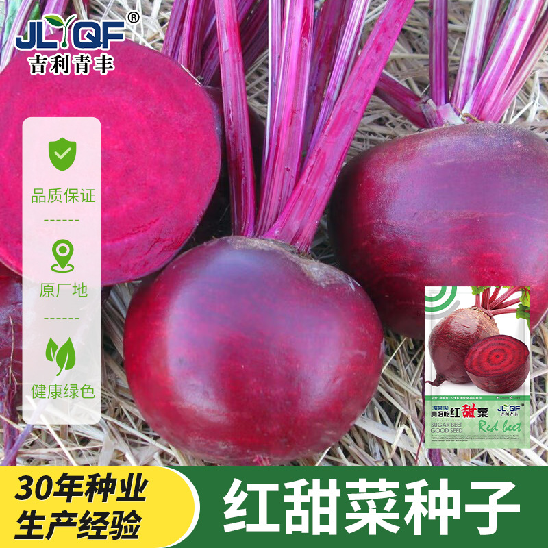 红甜菜紫菜头种子红菜头菜根种籽春秋农家营养丰富榨汁生食蔬菜孑