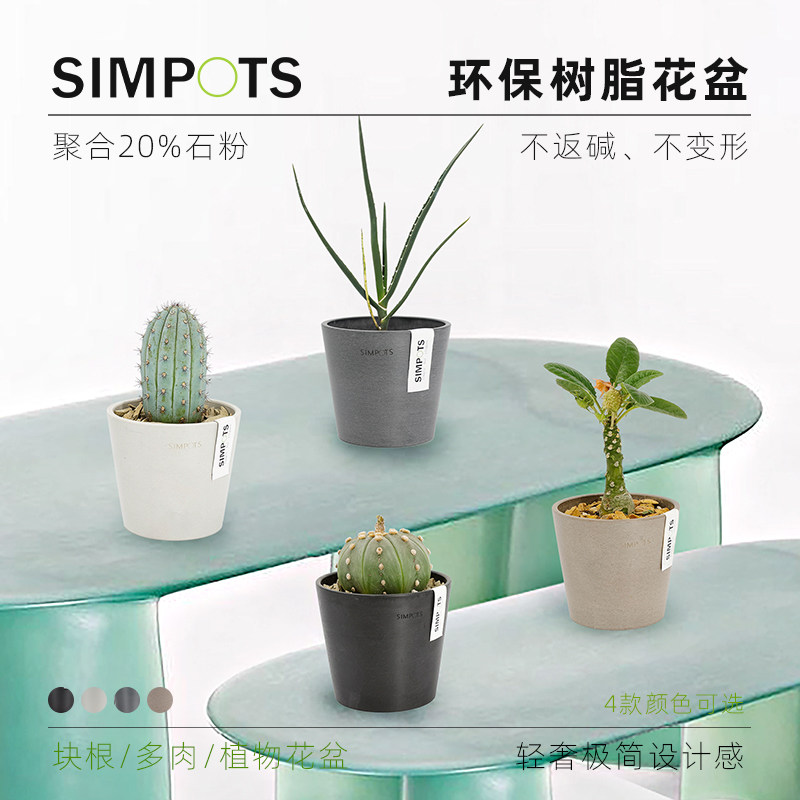 SIMPOTS森宝迷你圆形环保树脂花盆北欧风简约室内绿植多肉块根盆