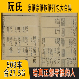 阮氏家谱 阮氏族谱  阮氏宗谱 阮姓祖谱寻根溯源研究收藏集合打包