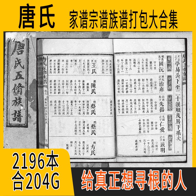 唐氏家谱 唐氏族谱  唐氏宗谱 唐姓祖谱寻根溯源研究收藏集合打包图片