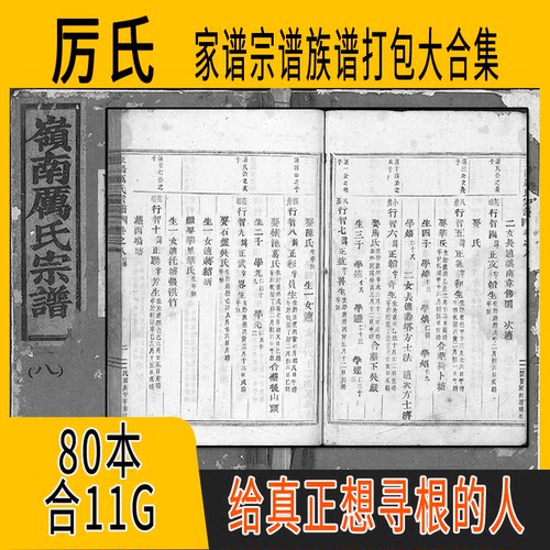 厉氏家谱 厉氏族谱  厉氏宗谱 厉姓祖谱寻根溯源研究收藏集合打包
