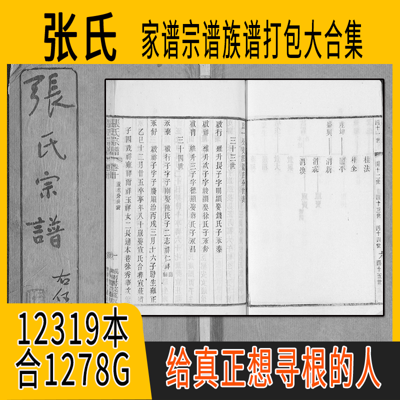 张氏家谱 张氏族谱  张氏宗谱 张姓祖谱寻根溯源研究收藏集合打包