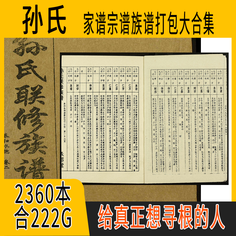 孙氏家谱 孙氏族谱  孙氏宗谱 孙姓祖谱寻根溯源研究收藏集合打包
