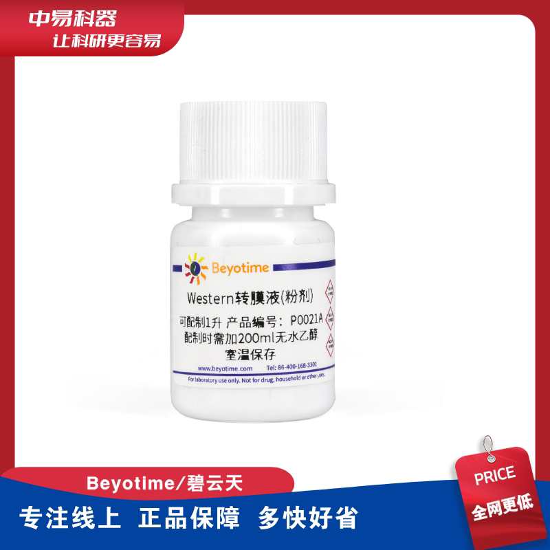碧云天P0021A  P0021B  Western转膜液