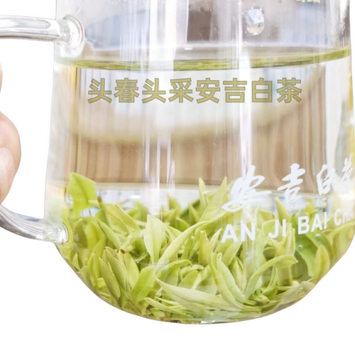 2026头采新茶叶明前特级安吉白茶