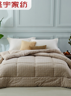 盛宇家纺  加厚保暖冬被芯被褥单双人被子冬季被芯 259