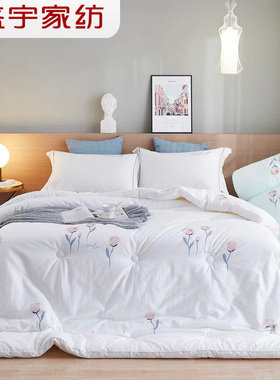盛宇家纺 全棉冬被被芯加厚保暖被芯双人被床上用品冬季被芯 花柔