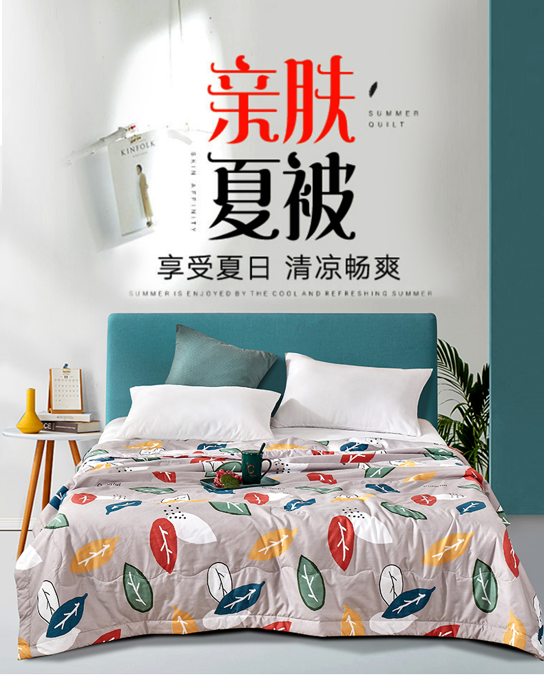 盛宇空调被可水洗夏凉被双人夏季薄款被子裸睡被单人学生宿舍被芯
