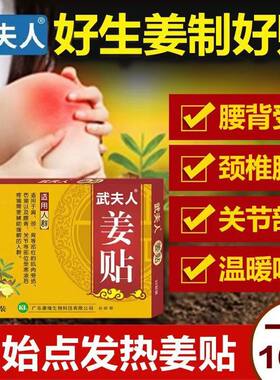 武夫人姜贴艾叶艾草膝盖颈椎肩周腰椎热敷经贴关节暖宝足贴