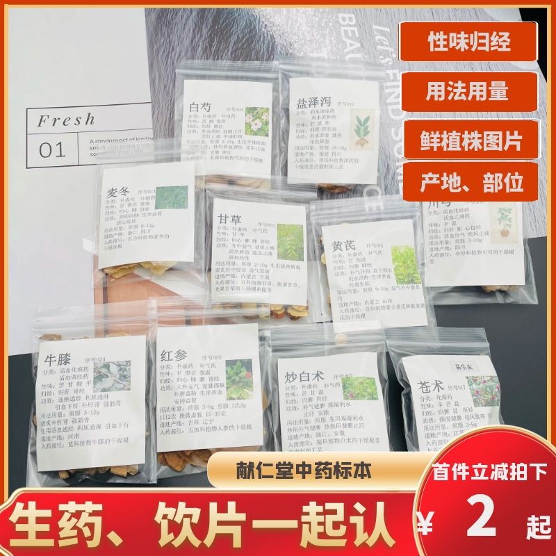 中药材标本学生学习执业药师医师考试中草药中药样品常用药材鉴定