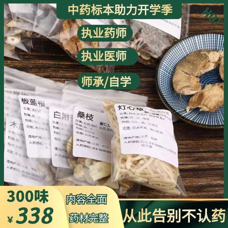 中药标本升级款300味常用药性味归经功效认药部位药师医师学习5克