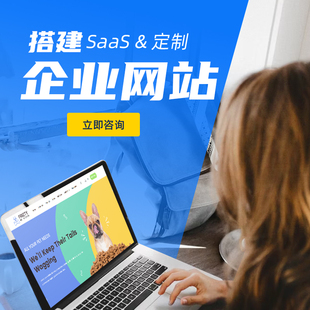 外贸企业官网GEO搭建 AI搜索网站建设 跨境独立站网页制作