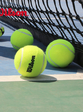 Wilson威尔逊比赛网球 威尔逊初学训练 散装专业练习用网球