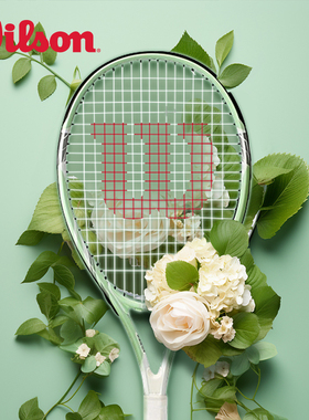 Wilson网球拍威尔胜初学者碳素女大学生单人网球回弹训练器套装