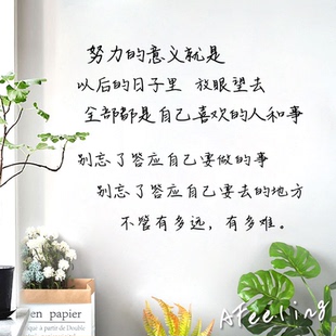 努力的意义要做的事手写文艺ins风励志句子卧室宿舍客厅装饰墙贴