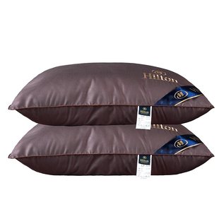 A pair of five-star hotel feather pillow 100 � goose down