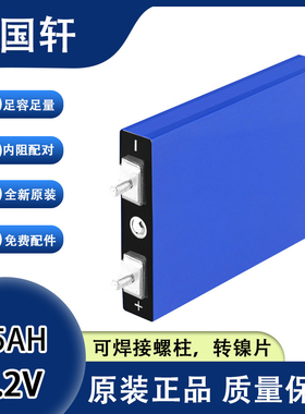 全新铁锂磷酸国轩3.2V30A大单体两轮车电芯电瓶车电动车动力电池