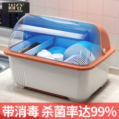 消毒碗筷收纳盒碗柜带盖装餐具放盘箱家用置物厨房碗架沥水碗碟架