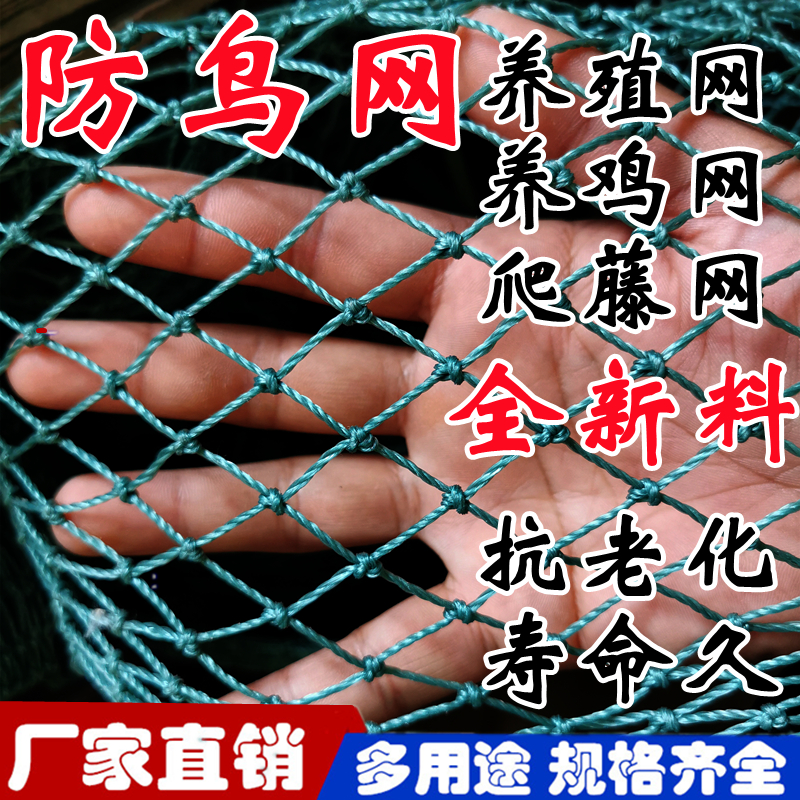 户外养殖网防鸟网果树防鸟用的网加厚尼龙网天网果园鱼塘防鸟用网 农机/农具/农膜 农用防鸟网 原图主图